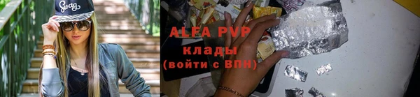 дживик Долгопрудный
