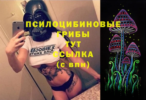 дживик Долгопрудный